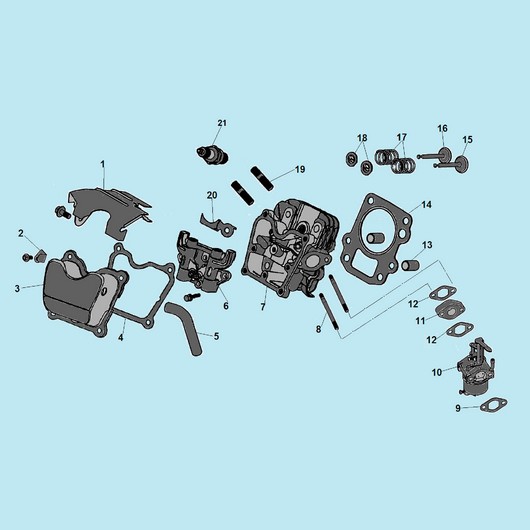 Головка цилиндра Champion GG1200